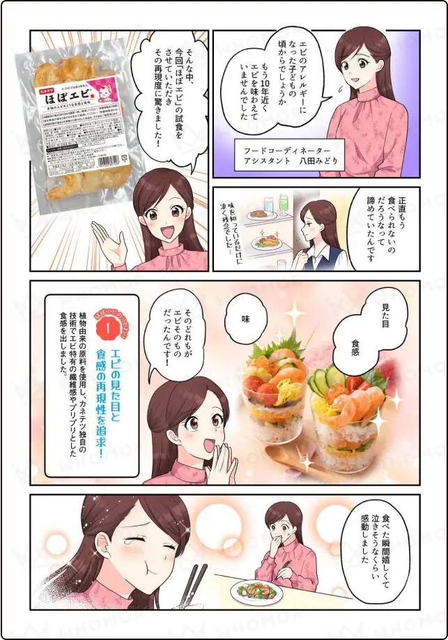 Webプロモーションの漫画活用例