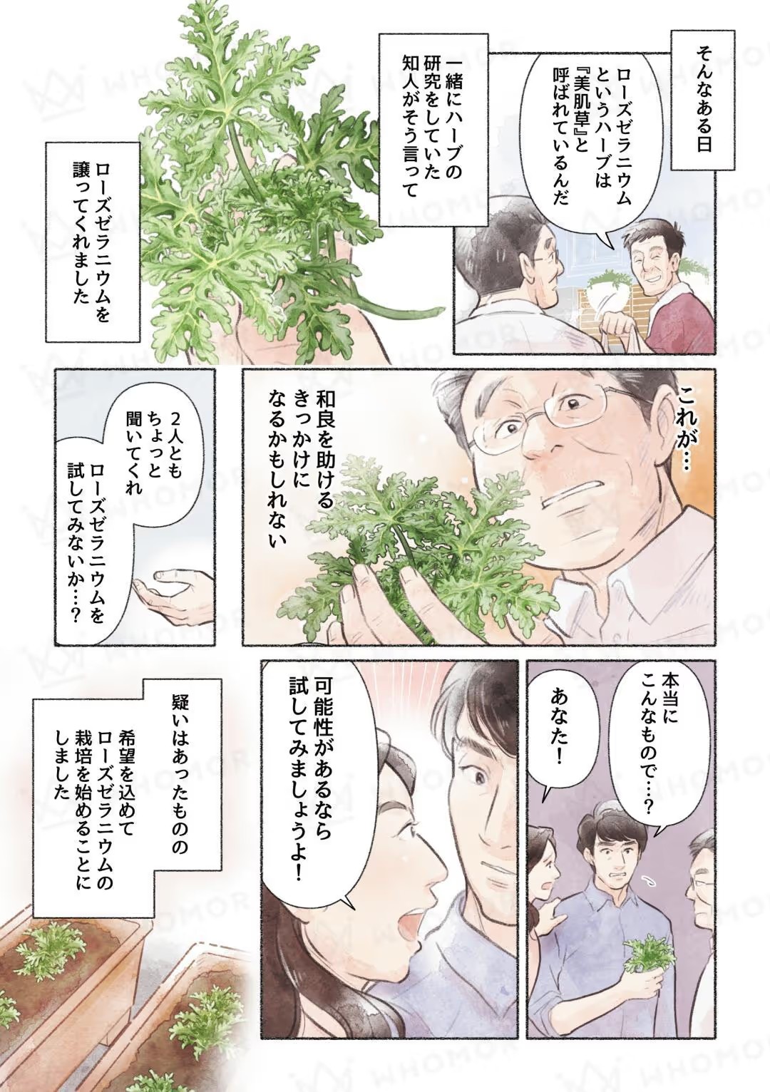 スライダー画像